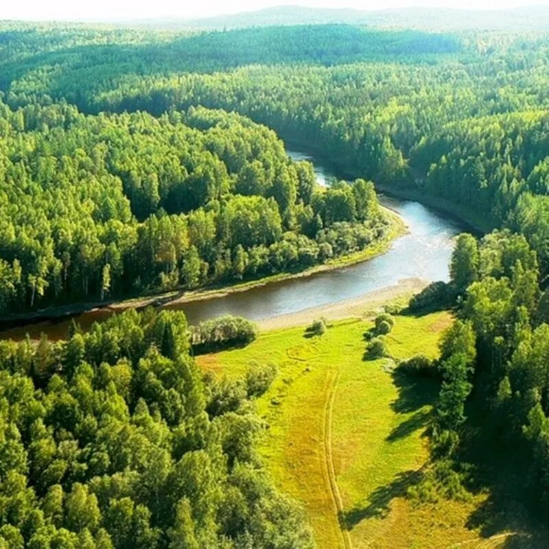 Хмао-югра река малая сосьва. Малая сосьва заповедник эмблема. Заповедники хмао малая сосьва. Заповедник малая сосьва в хмао-югре. Заповедники хмао малая сосьва.