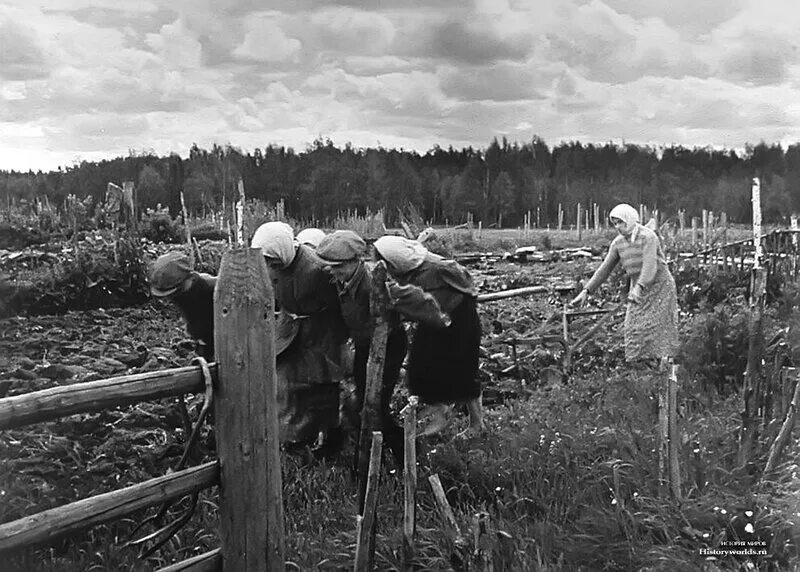 Блокада ленинграда 1941-1945 дети. Архив тружеников. Архив тружеников. Архив тружеников. Архив тружеников.