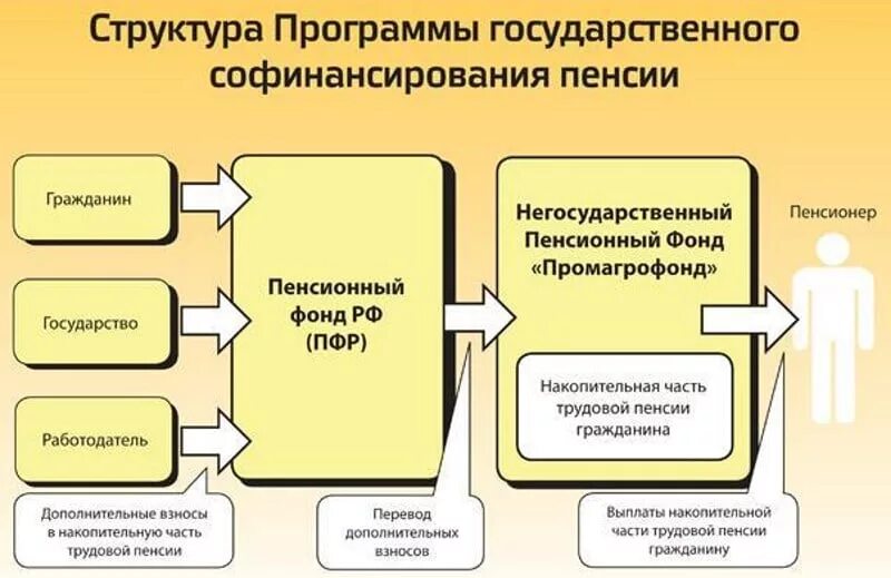 Участники программы государственного софинансирования. Программа софинансирования пенсии. Программа накопительной пенсии. Государственная программа софинансирования пенсионных накоплений. Государственная программа софинансирования пенсии ПФР.