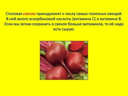 Когда можно вводить свеклу