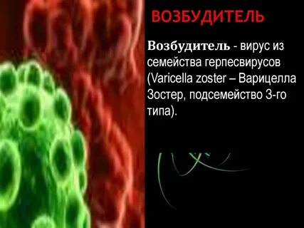 Возбудитель в 3