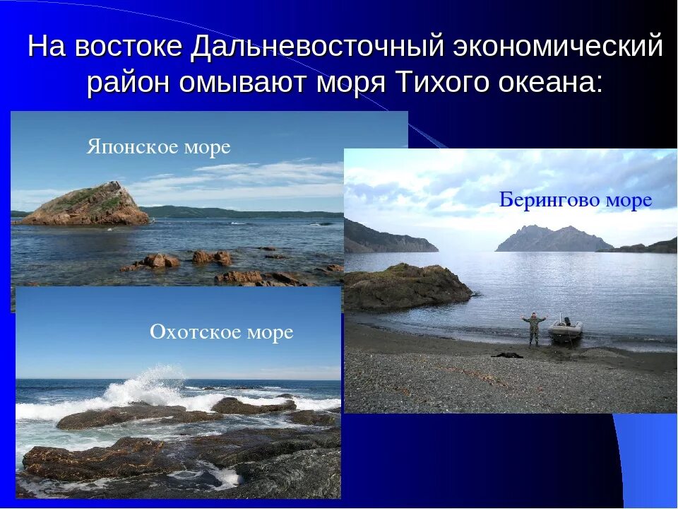 Дальний восток омывают моря тихого океана. Дальний Восток море. Дальний Восток омывают моря океанов. Дальневосточный район омывается морями.