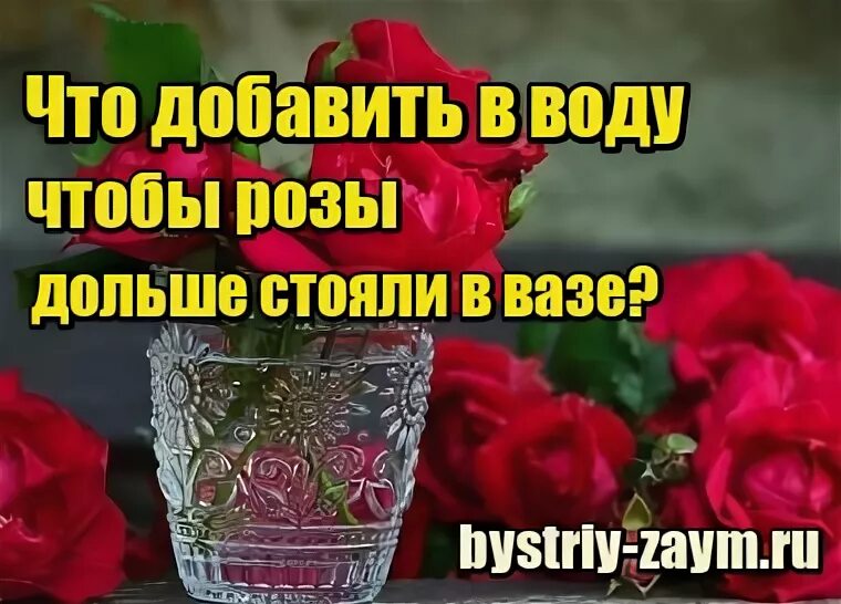 Что добавить в воду к розам. Что добавить в воду чтобы розы дольше стояли. Чтоб долго стояли розы что добавить в воду. Что добавить в воду для роз чтобы дольше. Что добавить в воду чтобы розы дольше стояли в вазе.