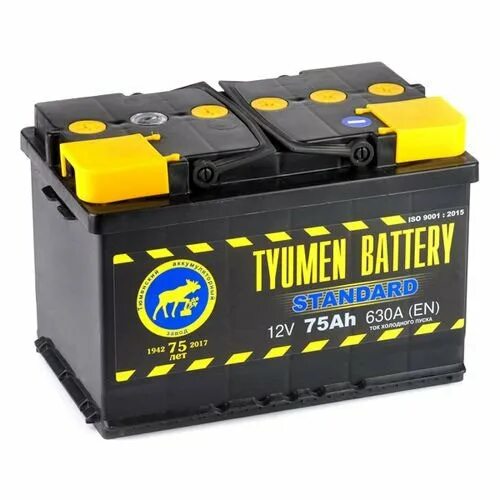 0 l. Tyumen battery asia 65. П. Аккумулятор tyumen battery standard 75. Аккумулятор автомобильный тюмень 75.