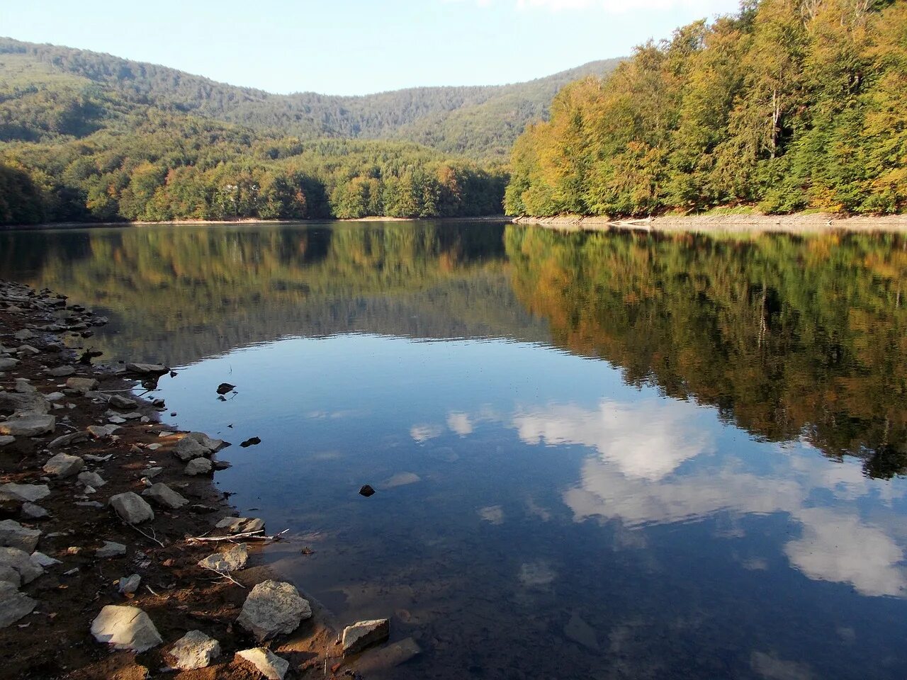 Плесо значение. Водное плесо. плесо реки. плёсо фото. осиновое плёсо.