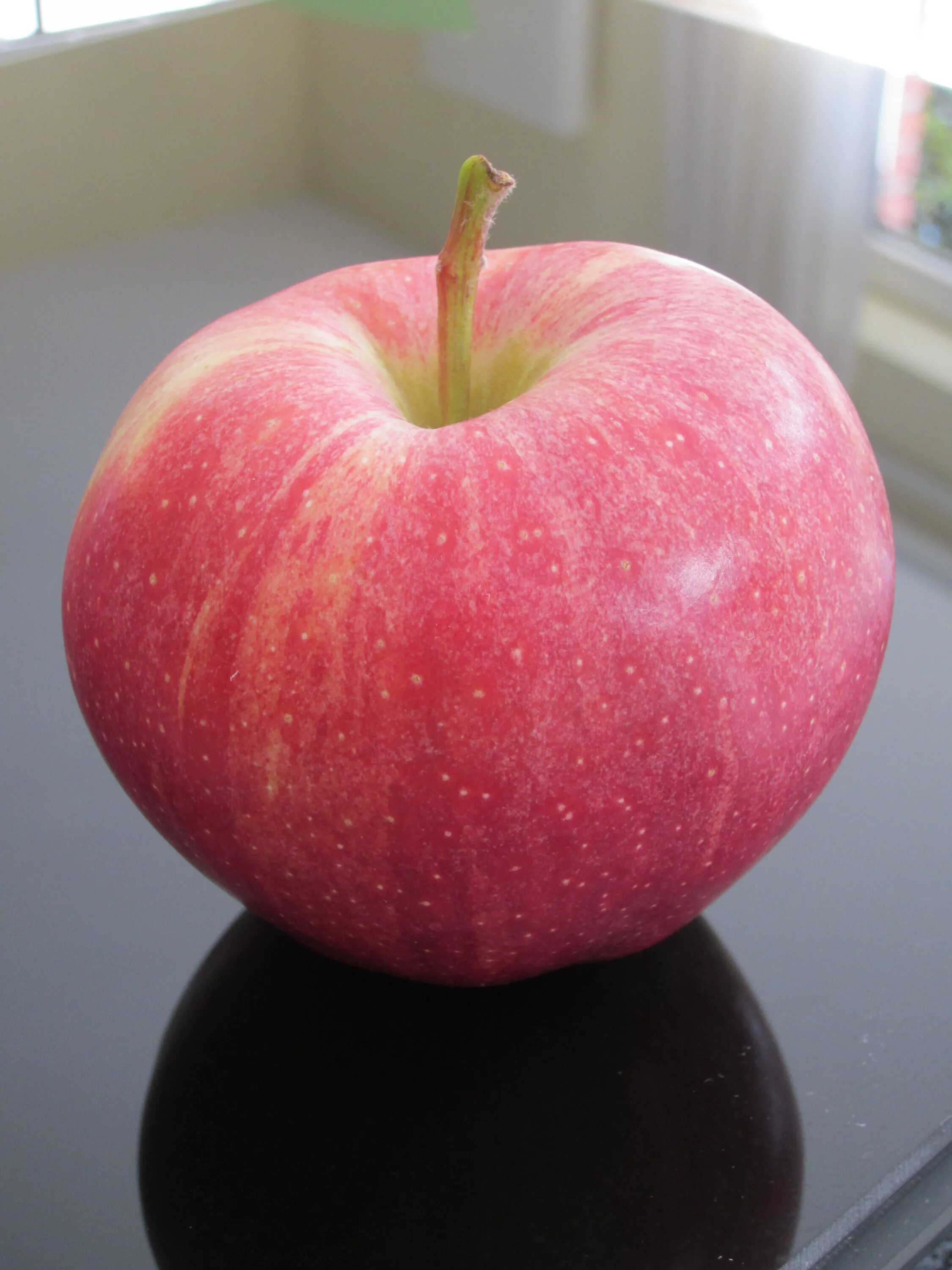 Как выглядит красное яблоко Apple Red Fruit free image download