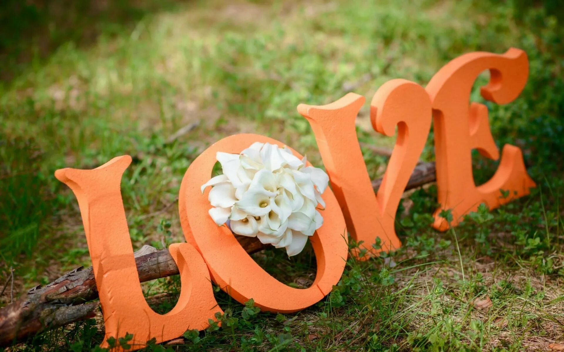 Прикольные надпись любовь. Буквы для фотосессии. Буквы на свадьбу. Буквы из пенопласта на свадьбу. Деревянные буквы на свадьбу.