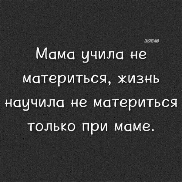 Мама научила не материться жизнь научила. Мама учила не материться жизнь научила не материться при маме. Жизнь научила. Жизнь научила меня. Мама учит жизни