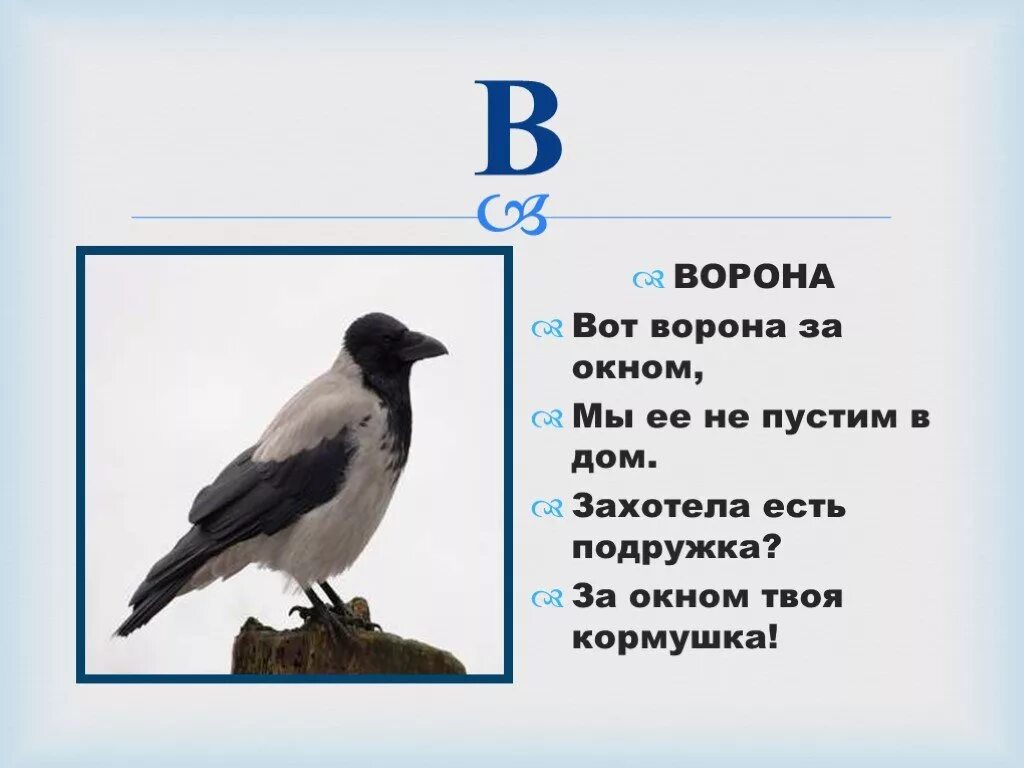 Составь слова ворона. Стих про ворону. Стихи о вороне. Детские стихи про ворону. Стихотворение о Вароне.