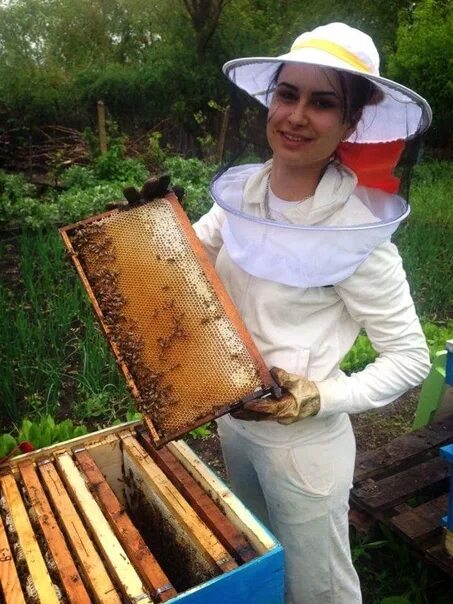 Стационарная пасека. Пасека лопатиных ульяновск. Женщина пасечник. Дымарь на пасеке. Раса пчеловод.