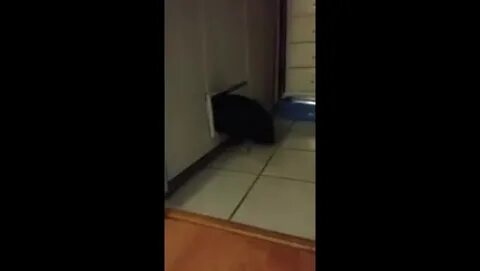 Сводная сестра застряла в кровати