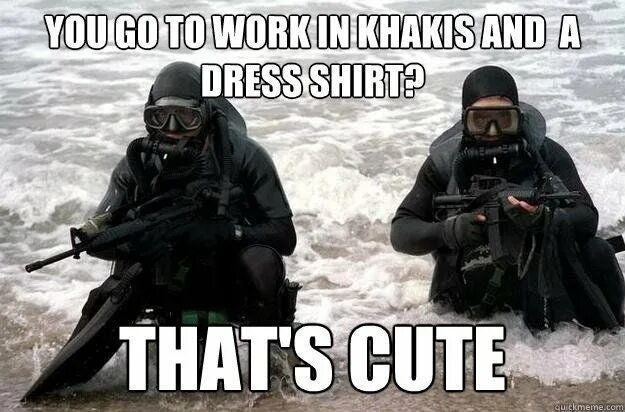 The little seal is laughing at us. Navy Seals memes. Силс Мем. Navy Seal Copypasta meme. German Navy Seals meme.