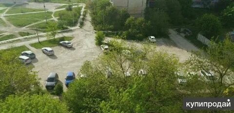 Белы куна симферополь