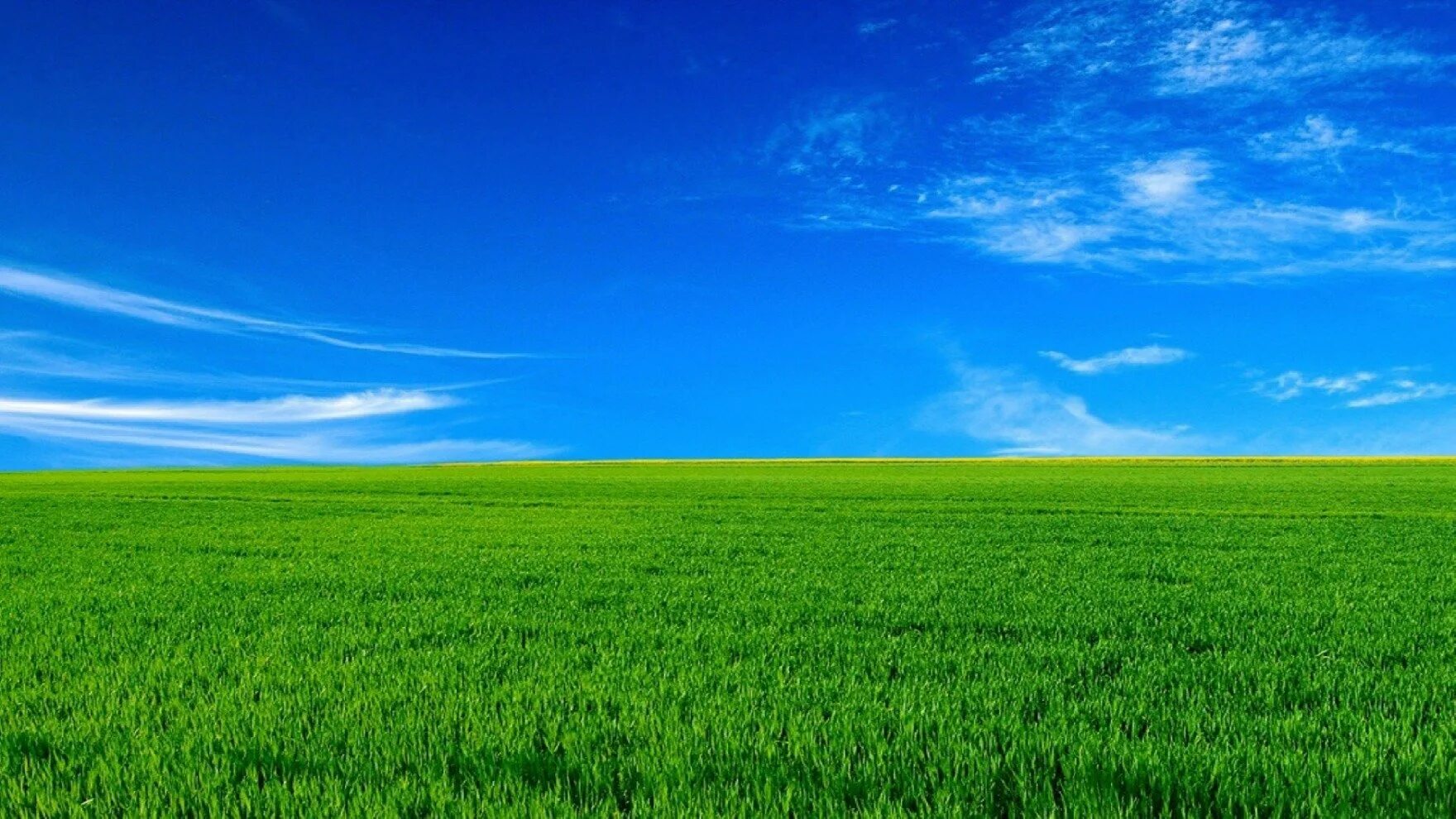 Windows summer