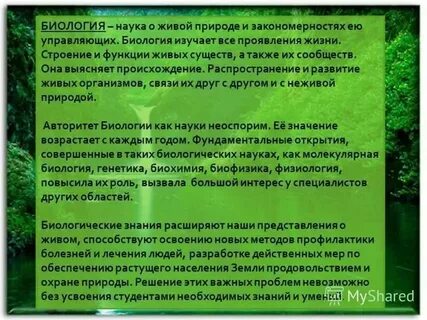 Сообщение на тему человек и природа кратко