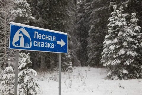 Вывеска зима
