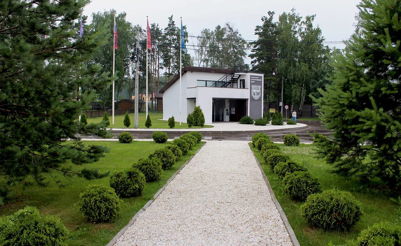 посёлок сосново ленинградская область. сосновый бор коттеджный поселок. кп сосновые берега можайское водохранилище. пос. подмосковный поселок сосны 3.