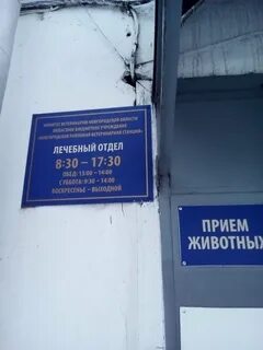 Ветеринарные великий новгород