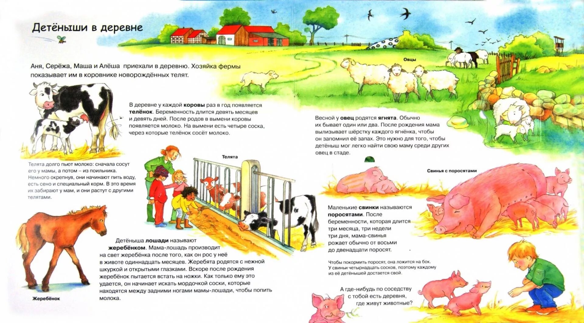 Animal рассказы. Домашние животные рассказ для детей. Рассказы про домашних животных для детей. Рассказать детям о домашних животных. Рассказ о домашних животных и их детенышей.