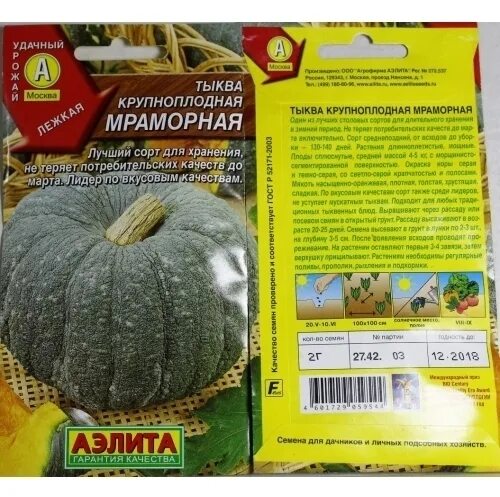 Мраморная жаба тыква. Семена тыква мраморная. Тыква крупноплодная лечебная. Тыква сорт мраморная отзывы. Тыква крупноплодная мраморная.