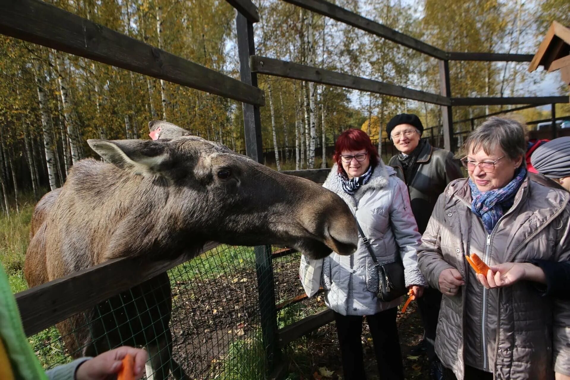 Лосиный парк дом. Лосиная биостанция Лосиный остров. Национальный парк Лосиный остров биостанция. Лосиная биостанция Мытищи. Лосиная биостанция экскурсия.