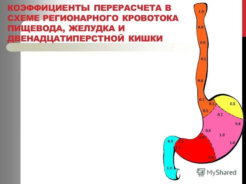 Последовательные сокращения и расслабления кишечной стенки. Последовательные сокращения и расслабления кишечной стенки. Сокращение мышц кишечной стенки:. Сокращение стенок кишечника. Перистальтические сокращения пищевода.