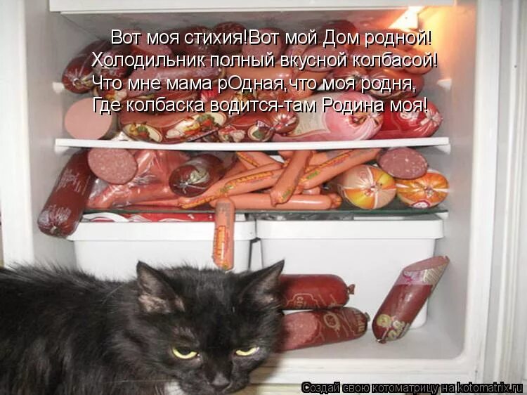 Что можно хотеть купить. Смешные коты с колбасой. Кот и колбаса прикол. Кошачья колбаса. Приколы про котов и колбасу.