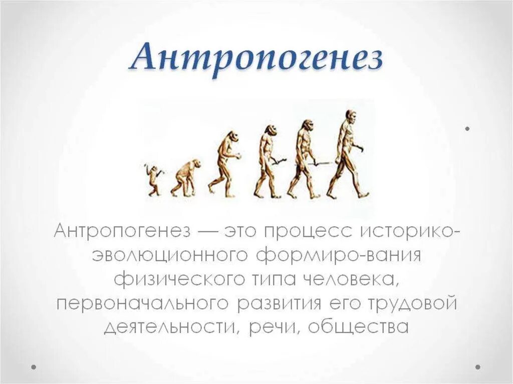 Ступени развития человека Антропогенез. Антропогенез это процесс историко-эволюционного. Антропогенез Эволюция человека 9 класс. Антропогенез это в биологии 9 класс определение.