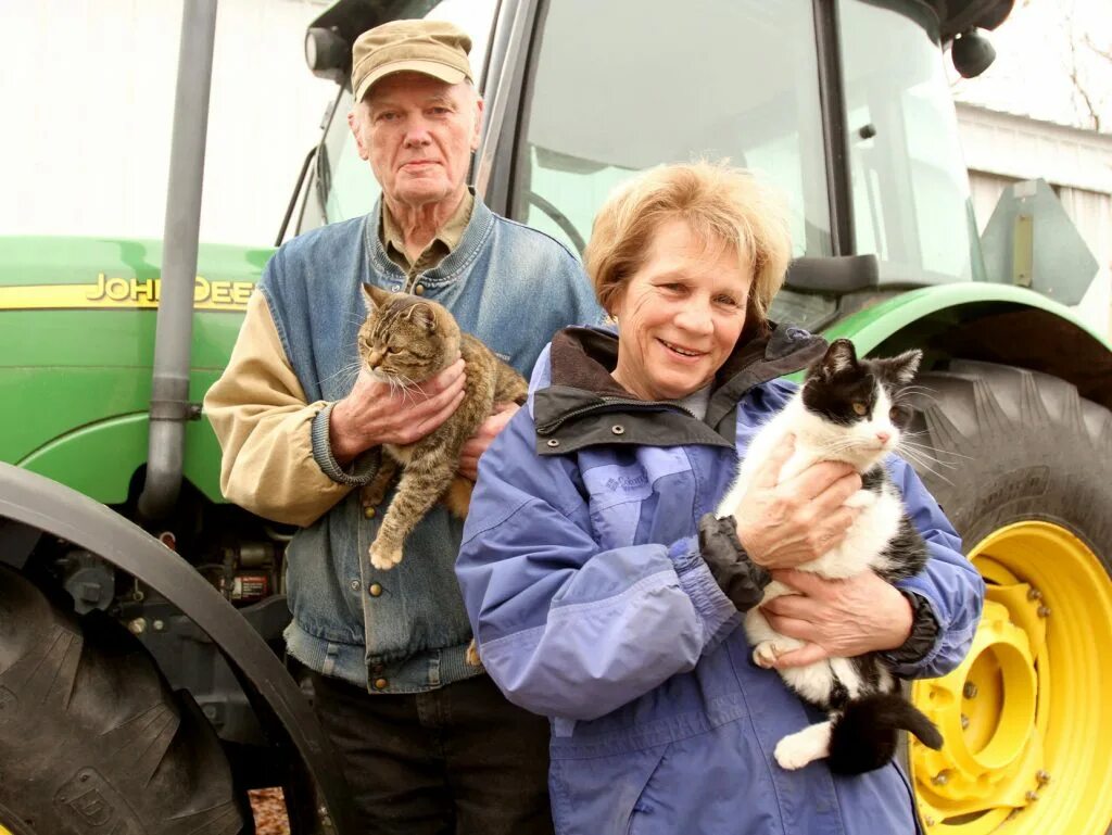 10 тракторов котэ. Кошка трактор. Кот на тракторе. Котенок на тракторе. Трактор котейка.