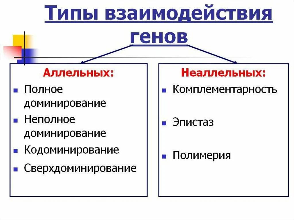 Формы взаимодействия аллельных и неаллельных генов. Типы взаимодействия аллельных генов. взаимодействие аллельных генов схема. классификация основных видов взаимодействия генов. основные типы взаимодействия аллельных генов..