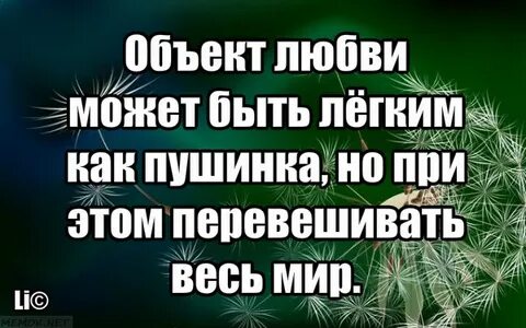 Предмет любви 6