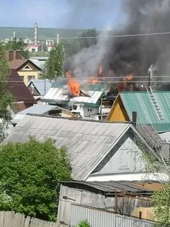 Сэс ухта