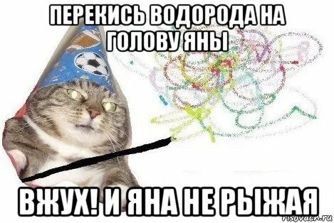 Вжух и ты петух