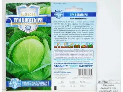 Сорт капусты три богатыря