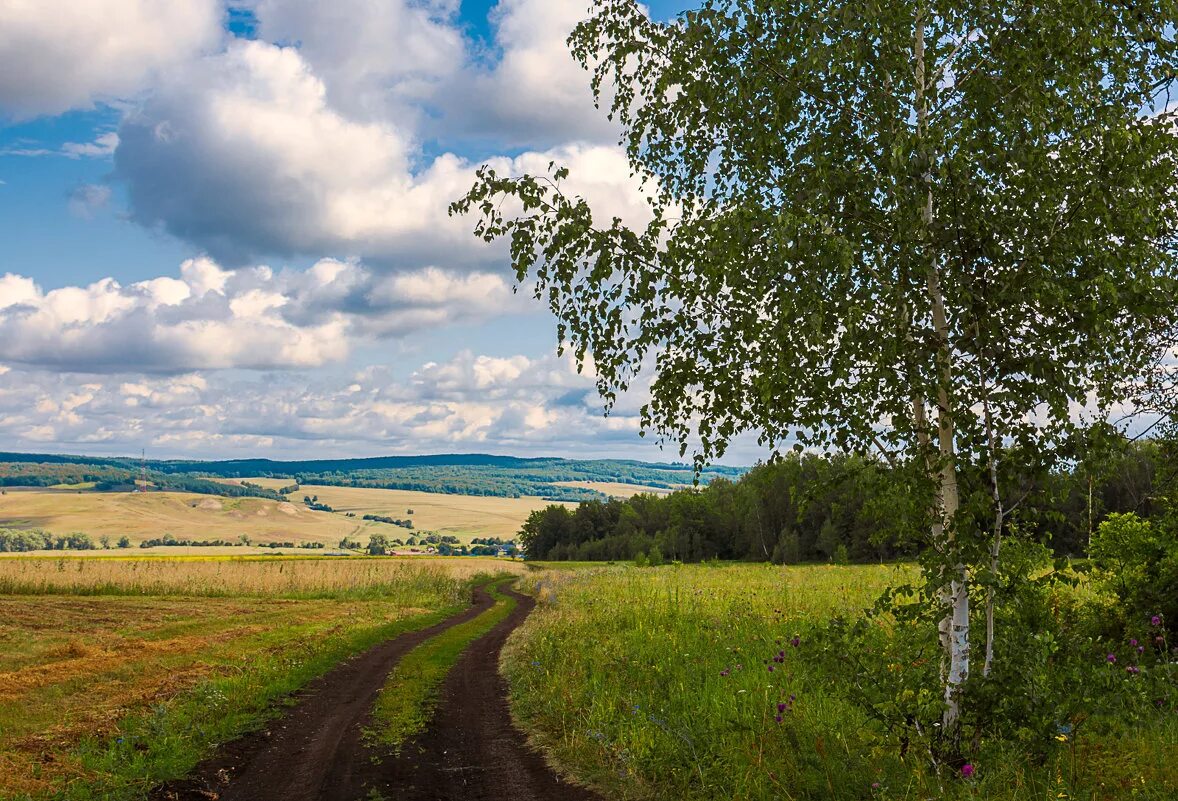 З родной. Родные просторы Башкирии. Природа Федоровского района Башкортостан. Башкортостан просторы природа. Деревня Родина Башкортостан.