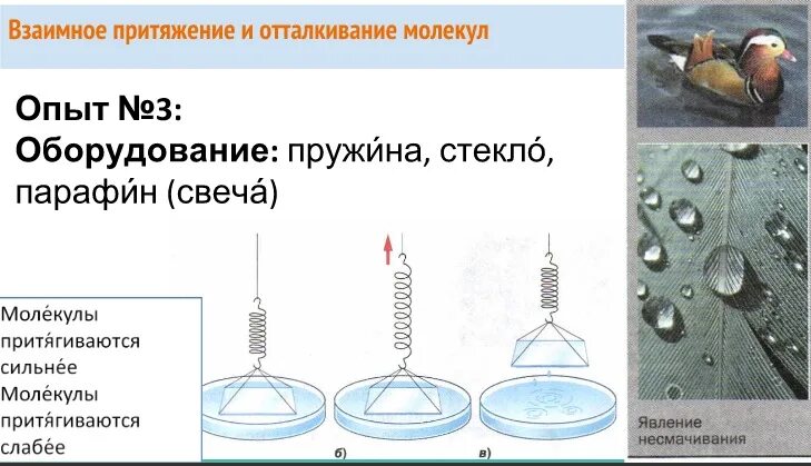 Молекулярное притяжение. Притяжение и отталкивание молекул. Взаимное Притяжение и отталкивание молекул. Физика Притяжение и отталкивание молекул. Взаимное Притяжение и отталкивание молекул опыты.