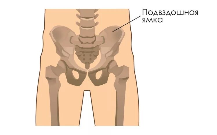 Область подвздошной кости. Ямка подвздошной кости. Подвздошная область кость. Подвздошная кость справа. Подвздошные косточки.