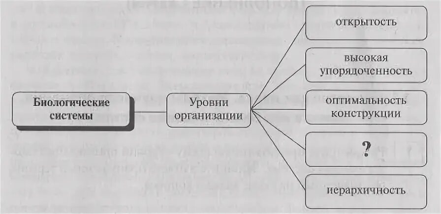 Принципы организации биологических систем