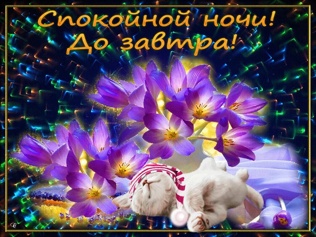 Доброго майского вечера и спокойной ночи картинки. Доброго вечера и спокойной ночи. до.рый вечер и спокойной носи. открытки спокойной ночи. доброго вечера и приятных сновидений.