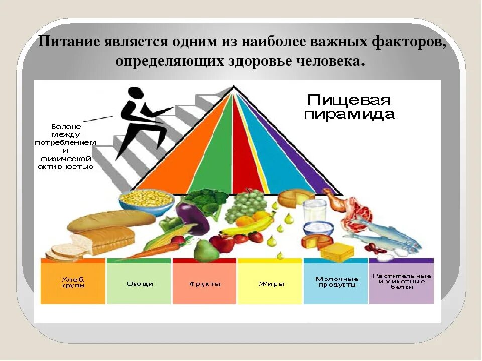 Факторы рационального питания. Факторы здорового питания. Правильное рациональное питание. Рациональное питание как фактор сохранения здоровья. Факторы влияющие на сохранение здоровья