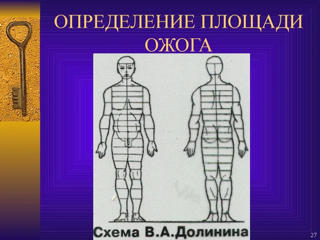 Площадь поражения при ожогах. Определение площади ожога. Метод Долинина ожоги. Ожоги классификация по площади. Классификация ожогов по площади поражения.