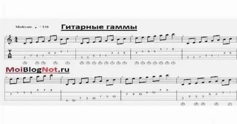 Кузнечик на 1 стороне