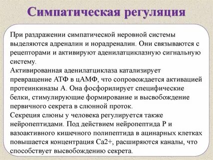 Адреналин симпатический