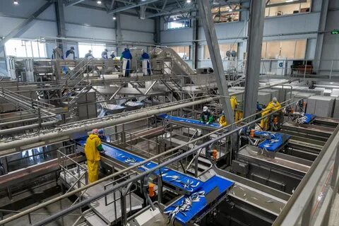 Разработанные предприятия