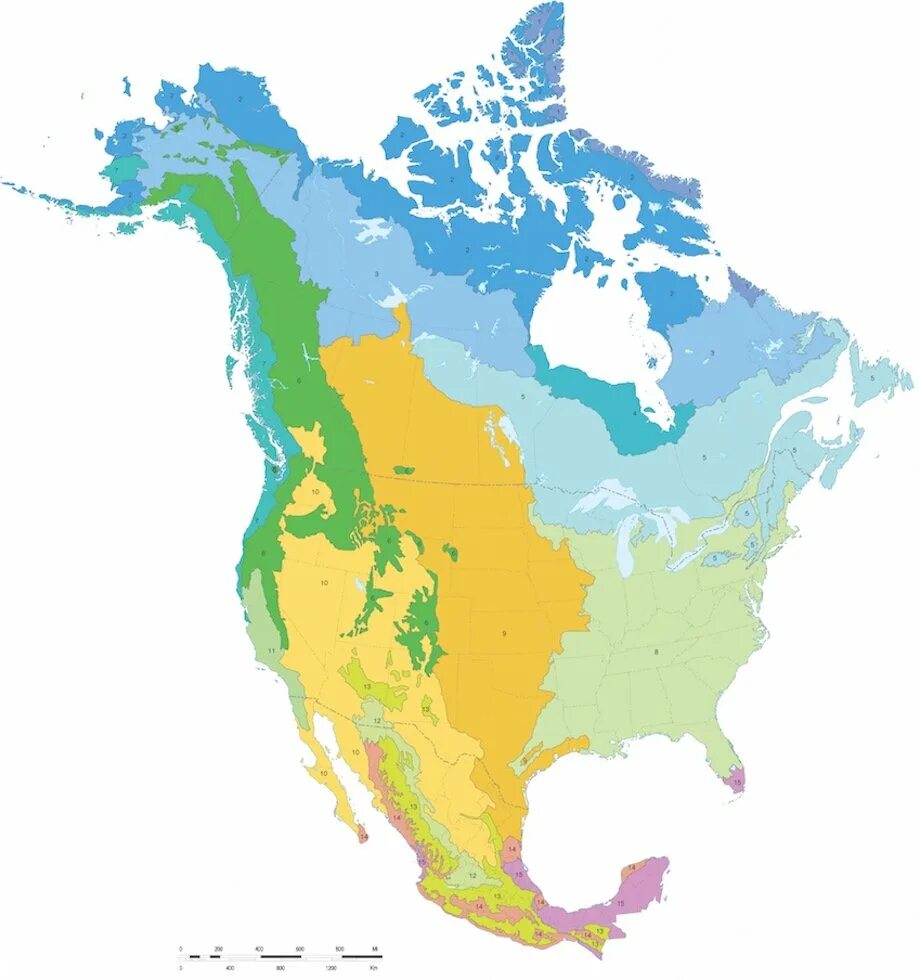 Внутренний сток северной америки. Природные зоны Северной Америки. Карта природных зон Северной Америки. Северная Америка материк. Климатические зоны США.