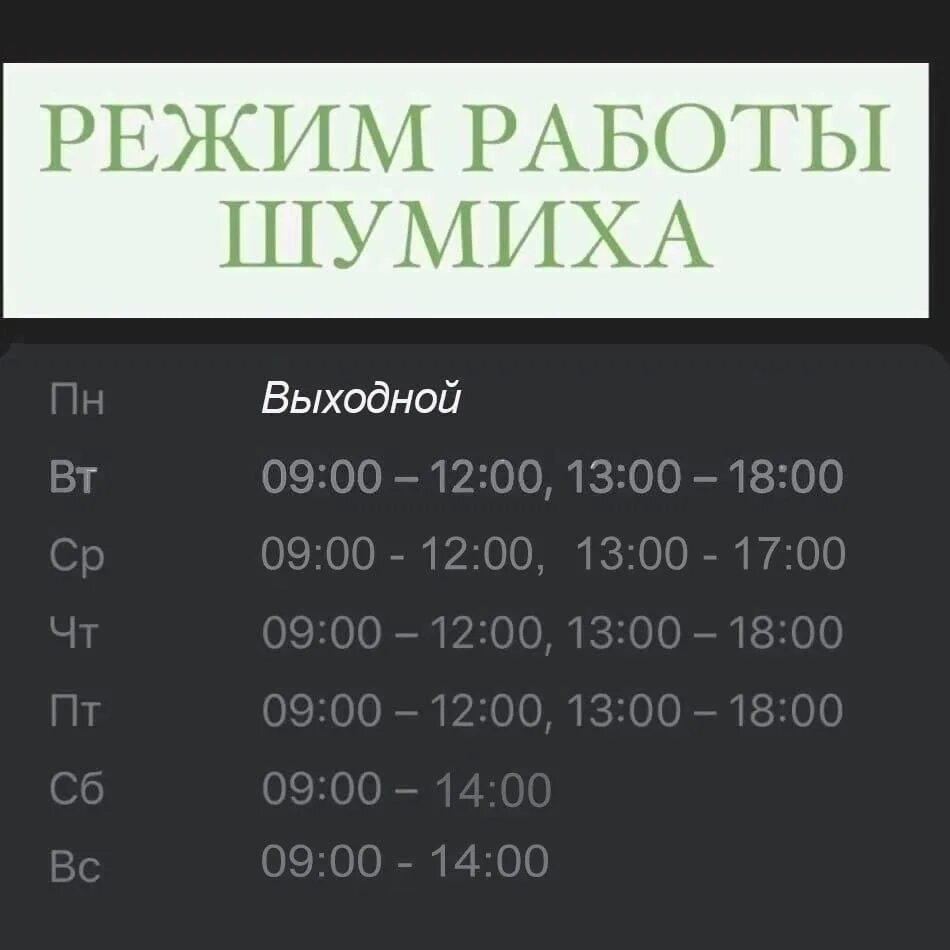 Расписание шумиха мишкино. Магазин табачный Шумиха режим работы. Магазин огонёк Шумиха график работы.