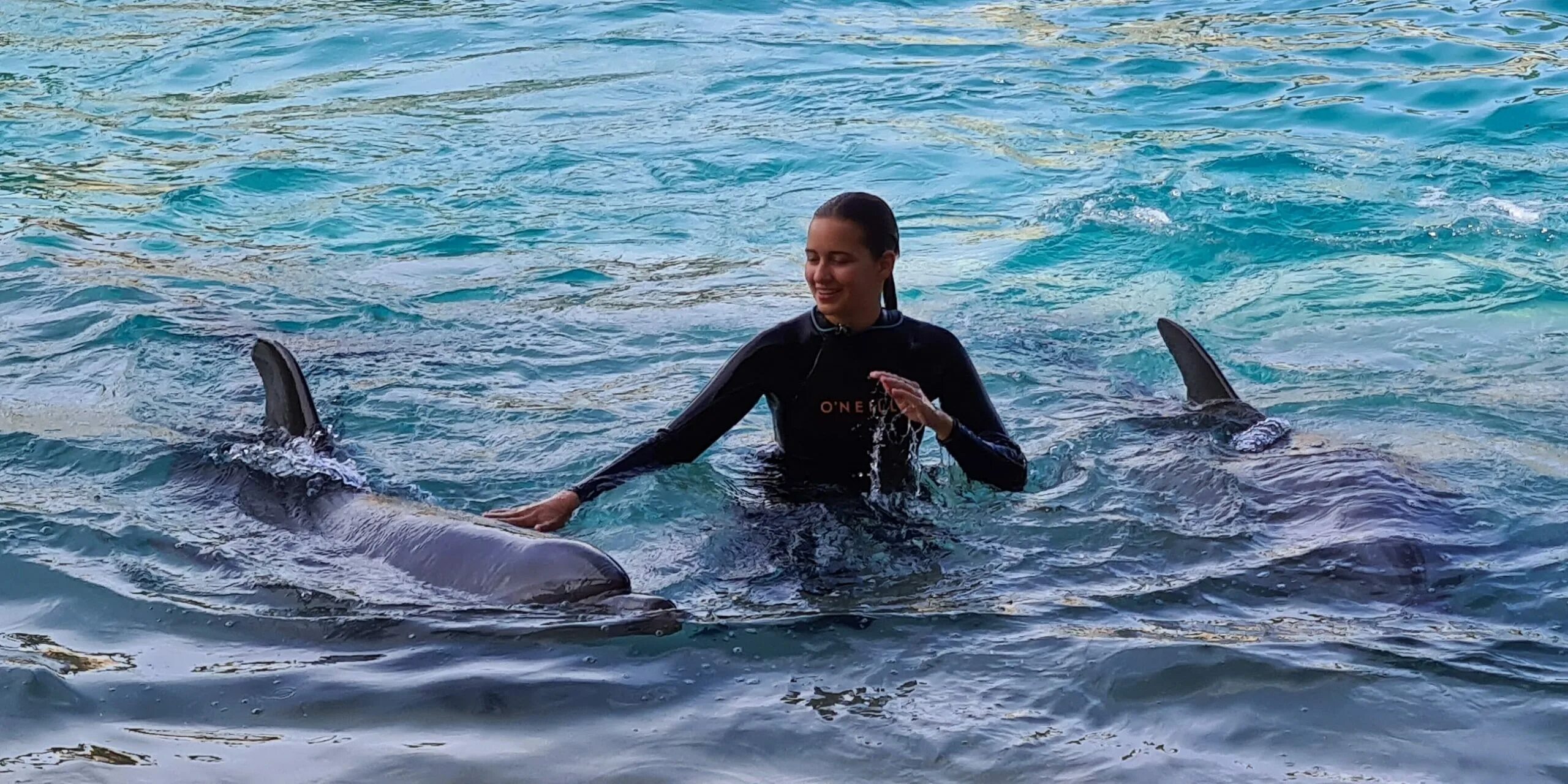 Есть ли дельфин людей. Дельфины и люди. Хвост дельфина. Человек на дельфине. Дельфины спасают людей.