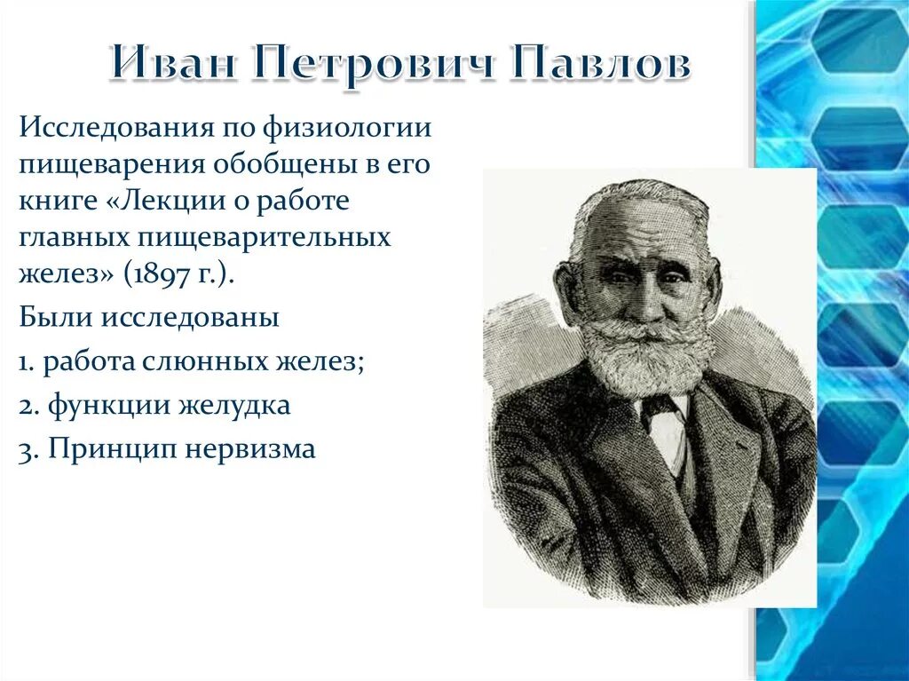 Открытия и п павлова. Исследования и п Павлова процессов пищеварения.