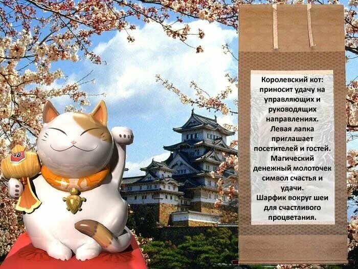 манэки нэко талисман удачи. манэки нэко в японии. кошка талисман манэки. японские кошки манэки-нэко. манэки-нэко.