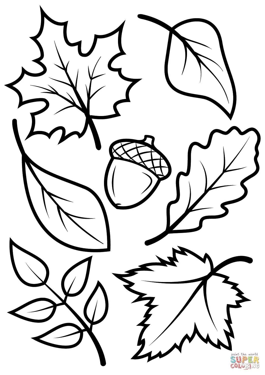 Image result for birch leaf Leaf coloring page, Leaf template, Printable leaves